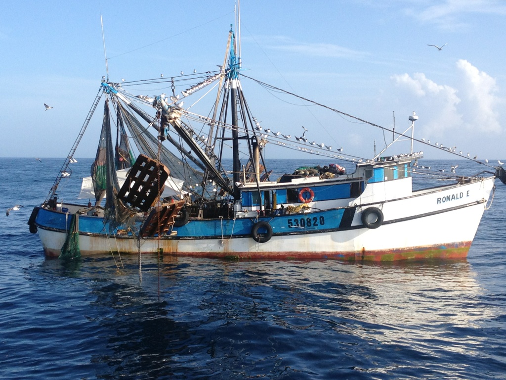 The RONALD E shrimp boat working offshore